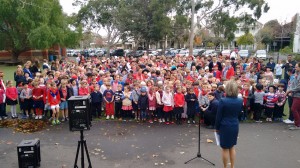 Albert Park Primary 1